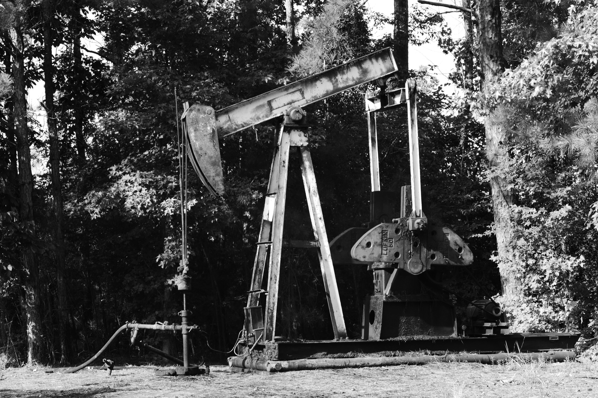 Oil