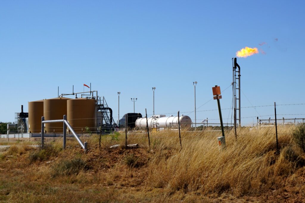 Oil